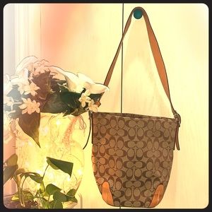 COACH Brown Canvas/Leather Signature C Hobo Bag
